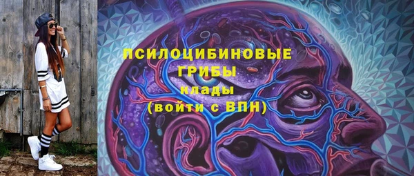 бутират Алексин