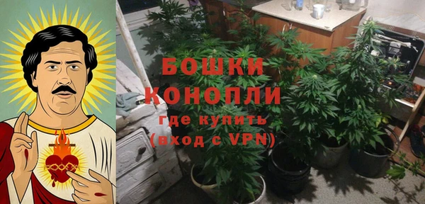 бутират Алексин