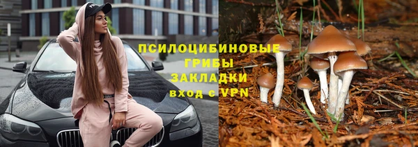 трава Алзамай