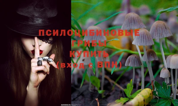 бутират Алексин