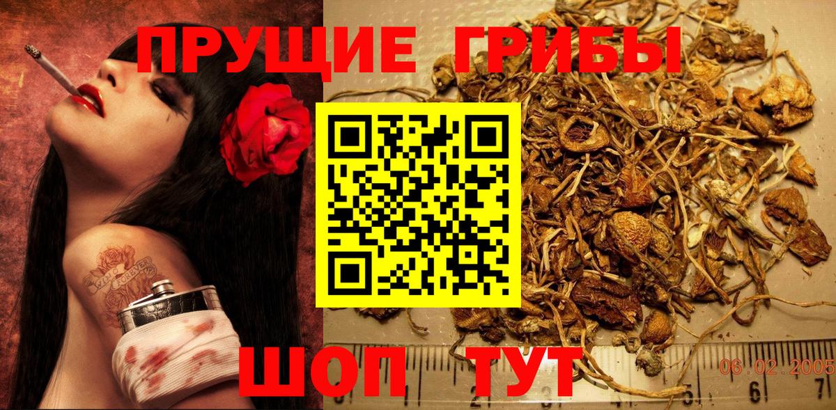 Псилоцибиновые грибы MAGIC MUSHROOMS Ипатово